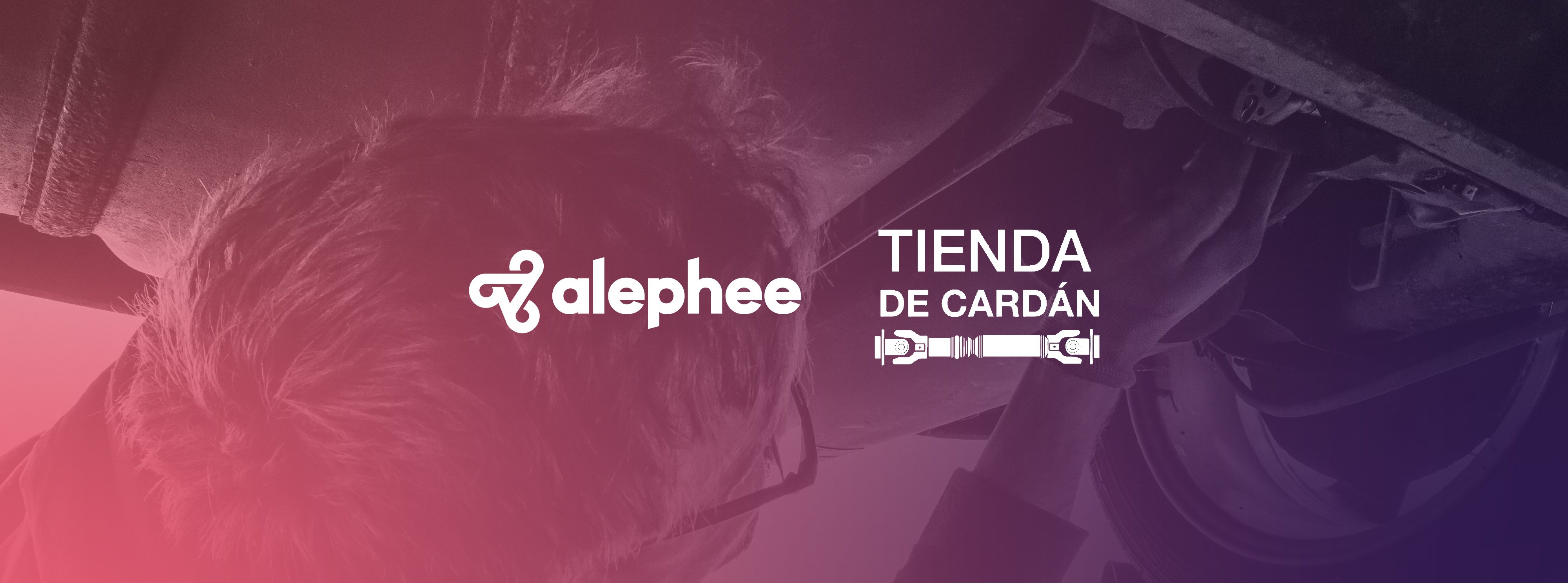 Casos de éxito_Blog_tienda_de_cardan_interior
